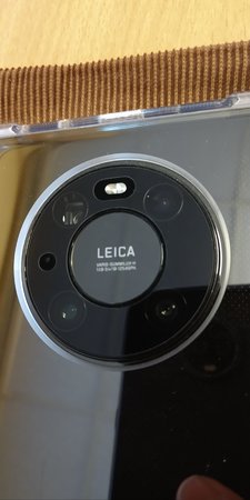 IMG_20210119_142930941.jpg