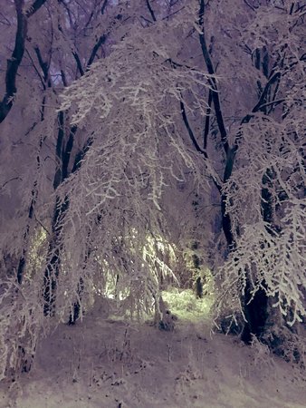 20210124_082511.jpg