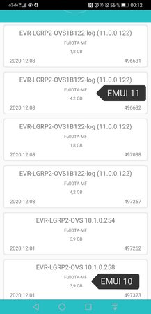 Huawei mate 20 x EMUI 11.jpg