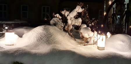20210126_204143.jpg