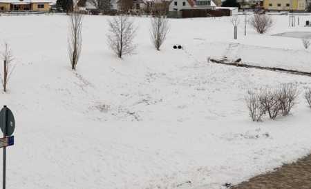 oneplus_schnee.PNG