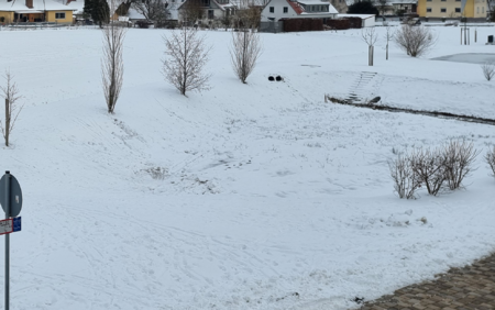 samsung_schnee.PNG