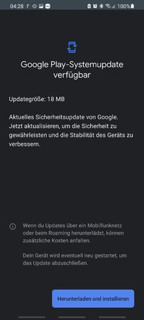 Screenshot_20210128-042844_Google Play Store.jpg