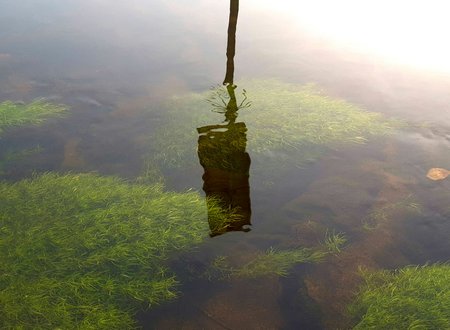 20201107_150128_1.jpg