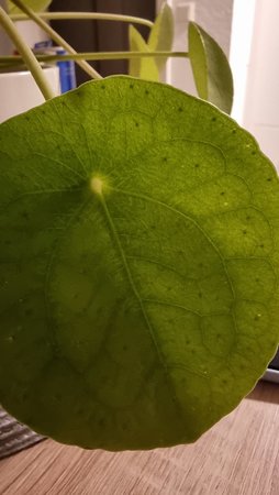 20210128_205144.jpg