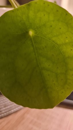 20210128_205223.jpg