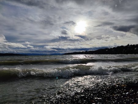 IMG_20210129_145728.jpg