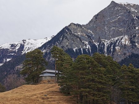 IMG_20200216_122226.jpg
