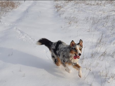 tempFileForShare_20210130-124113.jpg