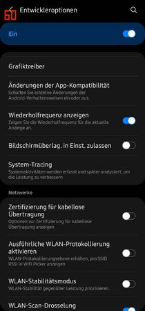 Screenshot_20210130-131932_Settings.jpg