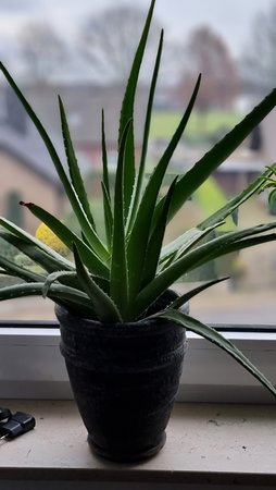 20210130_150723.jpg