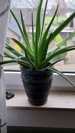 20210130_150806.jpg