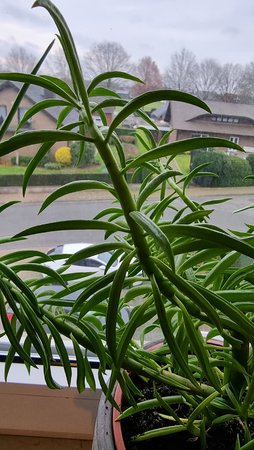 20210130_150931.jpg