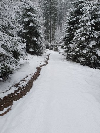 20210130_161803.jpg