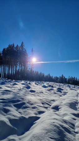 20210131_120733.jpg