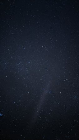 PXL_20210131_191620706.NIGHT.jpg
