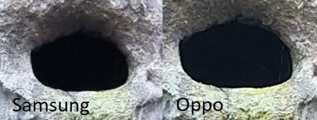 Vergleich2.jpg