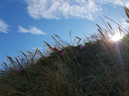 20200819_163515.jpg