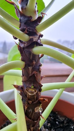 20210202_121143.jpg