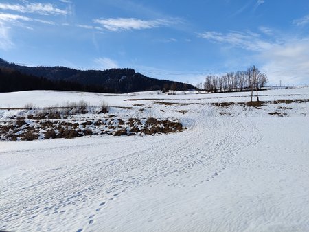 IMG_12MP_HDR.jpg