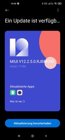 Screenshot_2021-02-02-15-42-05-214_com.android.updater.jpg
