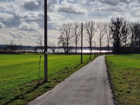 20210204_132929.jpg