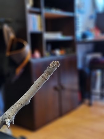20210205_101109.jpg
