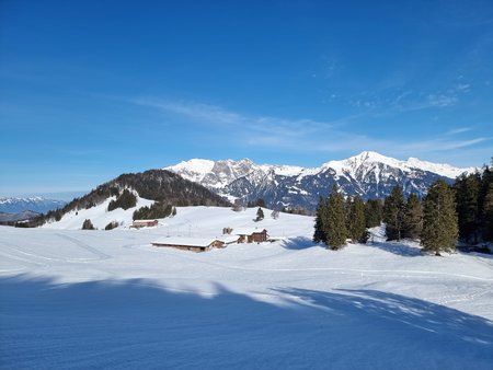 20210205_132602.jpg