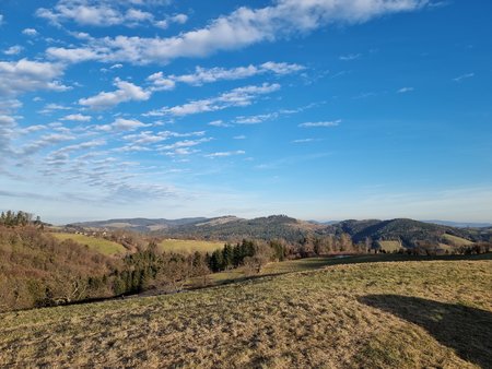 20210205_154552.jpg