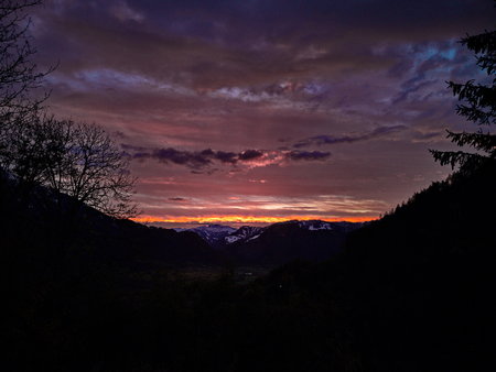 IMG_20201028_065007.jpg