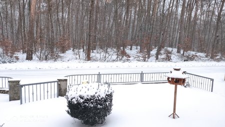 IMG_20210207_084253.jpg