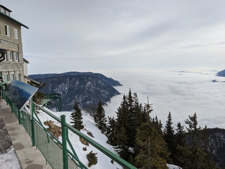 PXL_20210206_094342598.jpg