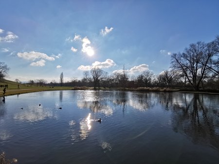IMG_20210110_131038.jpg