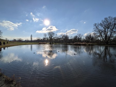PXL_20210110_120953152.jpg