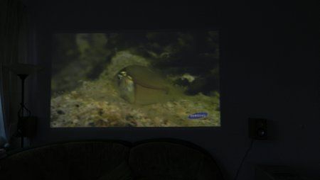 DSCN2710.jpg