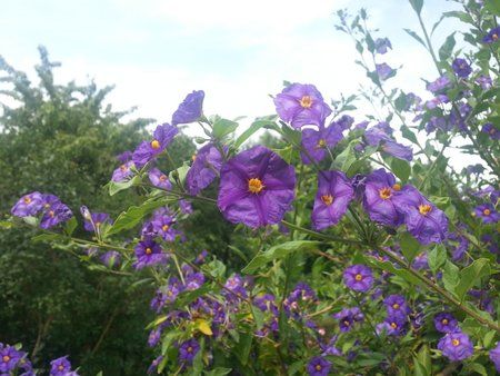 20120628_152234.jpg
