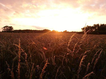 2012-06-26 20.57.17.jpg