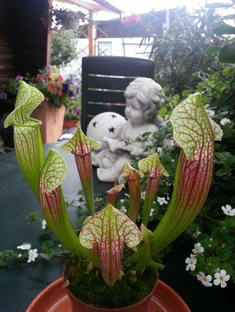 2012-07-07 15.27.45.jpg
