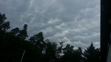 20120707_134216.jpg