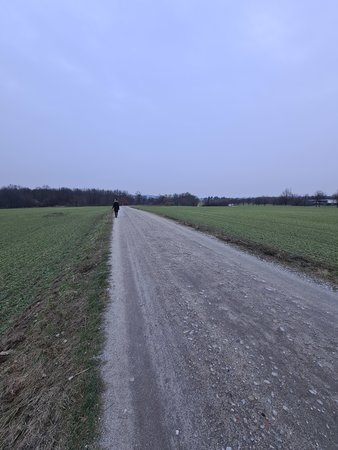 s20_ (14).jpg