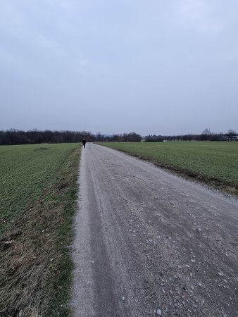 s21_ (14).jpg