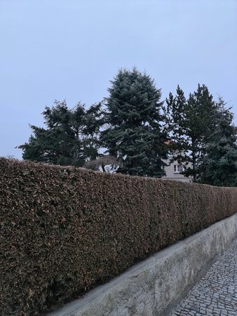 s20_ (24).jpg