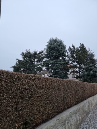 s21_ (24).jpg