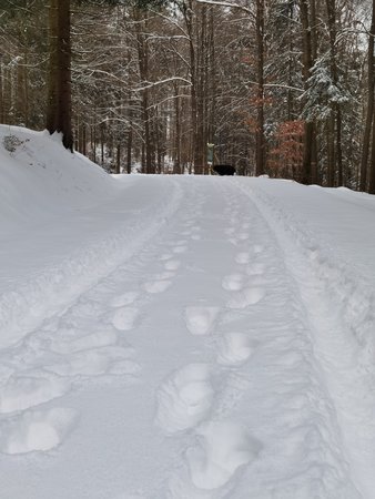 IMG_20210208_104924.jpg