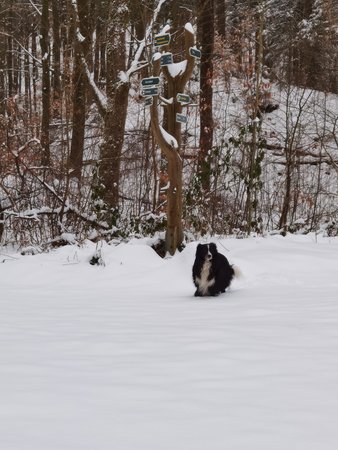 IMG_20210208_103448.jpg