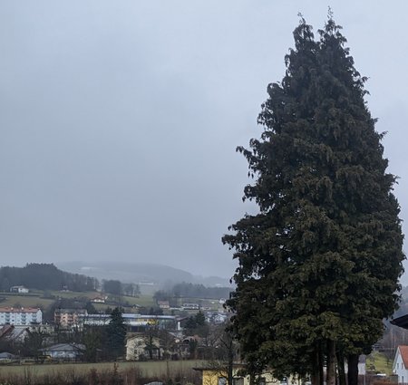20210208_130543.jpg