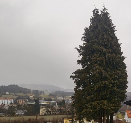 20210208_130606.jpg