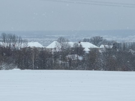 20210208_122723.jpg