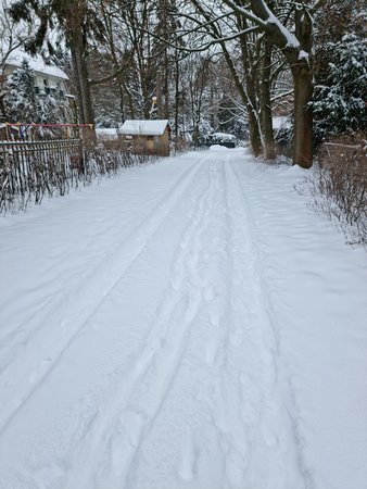 20210208_121110.jpg
