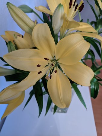 IMG_20210208_165702.jpg